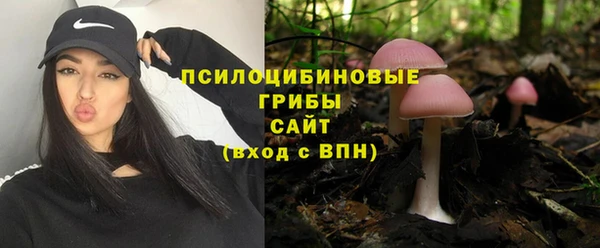 гашишное масло Богданович