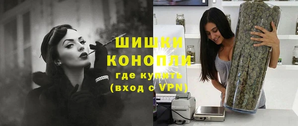 спиды Богородицк
