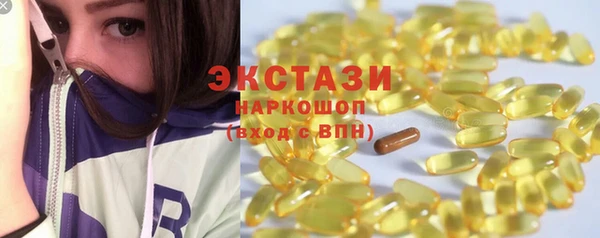 спиды Богородицк