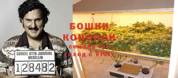 MESCALINE Бородино