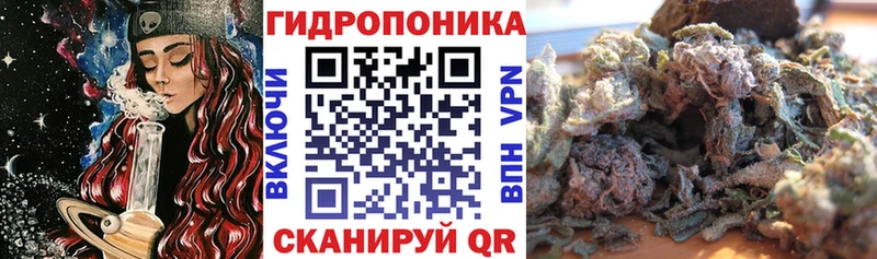 МАРИХУАНА ГИДРОПОН  Смоленск 